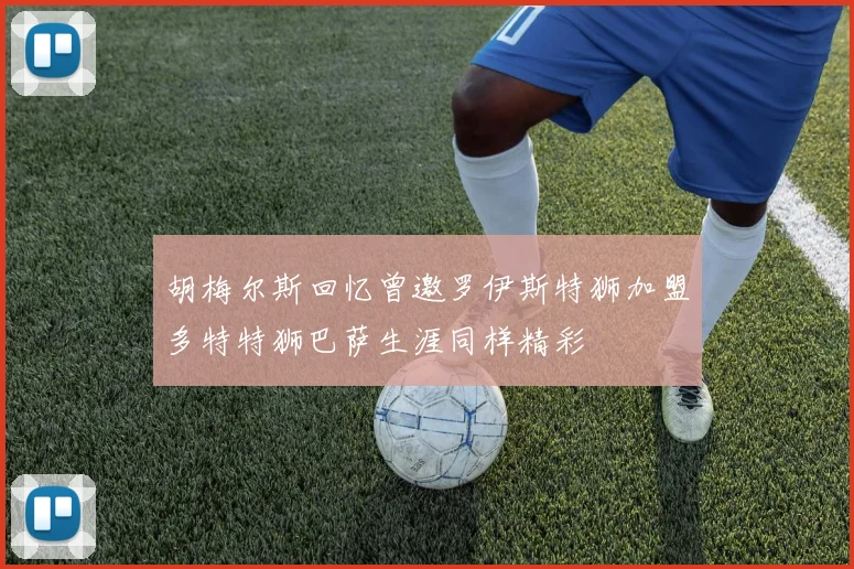 胡梅尔斯回忆曾邀罗伊斯特狮加盟多特特狮巴萨生涯同样精彩
