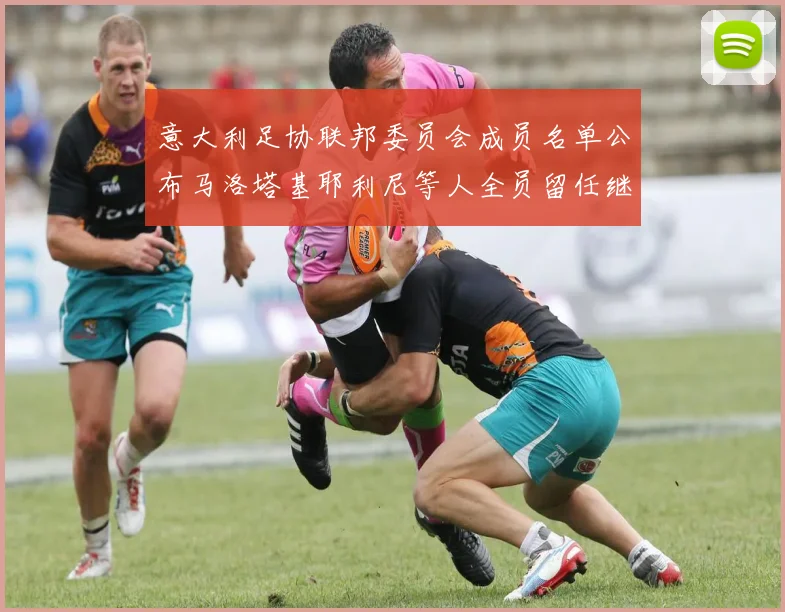 意大利足协联邦委员会成员名单公布马洛塔基耶利尼等人全员留任继续服务